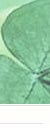 Plantes naturelles, homéopathie